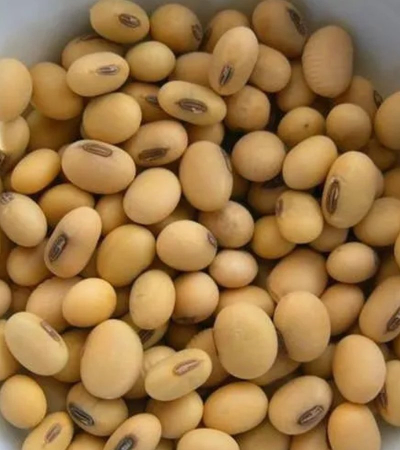 black pepper